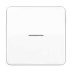 KNX RF кнопка, 1 группа, CD 10911 ST RF WW