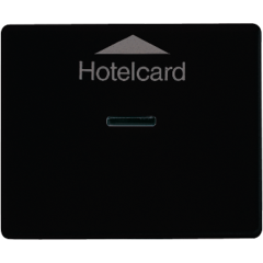 SL590CARDSW Накладка карточного выключателя; черная