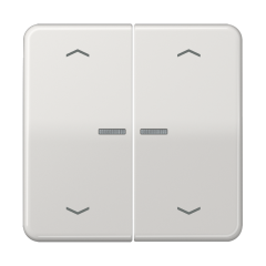 JUNG HOME кнопка, 2 группы с символами «стрелки», BT CD 17102 P LG