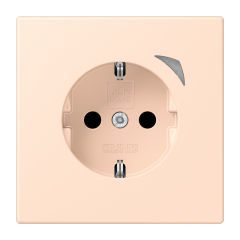 JUNG HOME SCHUKO® розетка, BT LC 1521 S228