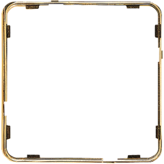CDP81GGO Внутренняя цветная рамка; полированное золото