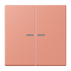 JUNG HOME кнопка, 2 группы, BT LC 17102233