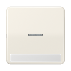 CD590NAKO5 Клавиша с окошком для выключателя с подсветкой и полем для надписи; слоновая кость