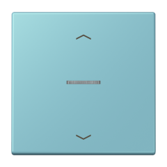 JUNG HOME кнопка, 1 группа с символами «стрелки», BT LC 17101 P213