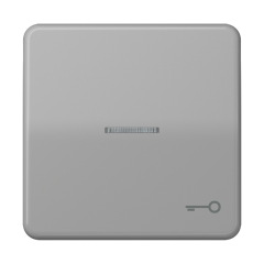 CD590KO5TGR Клавиша с окошком и символом ключ для выключателей с подсветкой; серая