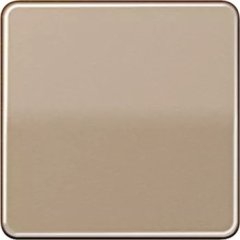 CD2091NABSGB Клавиши для системы KNX, 1-группа; золотая бронза