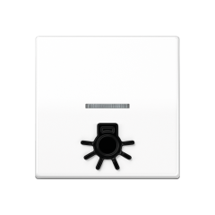 Безбарьерная среда Kлавиша с рельефным символом «освещение» и окошком, SPAS 591 L1KO5 WW