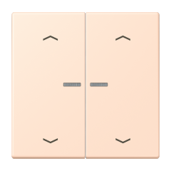 JUNG HOME кнопка, 2 группы с символами «стрелки», BT LC 17102 P228