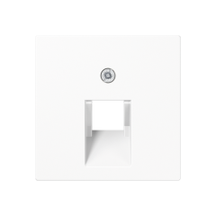 A569-1BFPLUAWW Крышка для телефонных и компьютерных розеток UAE; белая