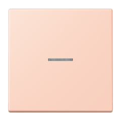 JUNG HOME кнопка, 1 группа, BT LC 17101234