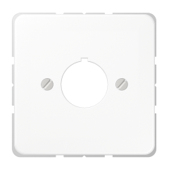 CD564WW Крышка для установки специальных гнезд ? 22,5 мм; белая