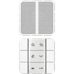 SIAICD6WW Audio-Innenstation