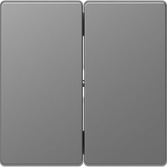MTN3400-6036; Клавиша двойная D-Life сталь нержавеющая SD Schneider Electric