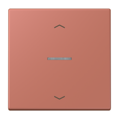 JUNG HOME кнопка, 1 группа с символами «стрелки», BT LC 17101 P236