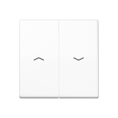 Клавиша с символами «стрелки», SPAS 591-5 P WW