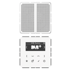 Цифровое радио DAB, DABCD1WW