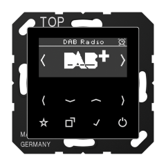 Цифровое радио DAB+, DABASW
