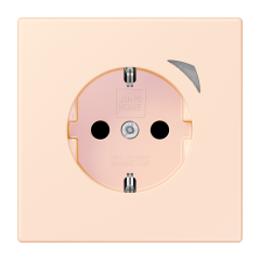 JUNG HOME SCHUKO® розетка, BT LC 1521 S226