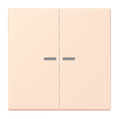 JUNG HOME кнопка, 2 группы, BT LC 17102226