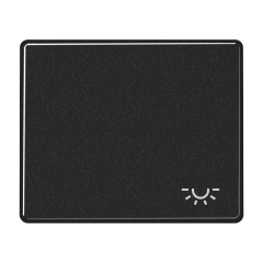 SL590LSW Клавиша для выключателя с символом освещение; черная