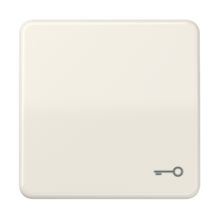 CD590T Клавиша с символом ключ; слоновая кость