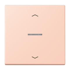 JUNG HOME кнопка, 1 группа с символами «стрелки», BT LC 17101 P234