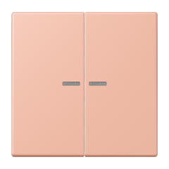 JUNG HOME кнопка, 2 группы, BT LC 17102231