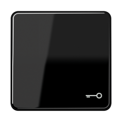 CD590TSW Клавиша с символом ключ; черная