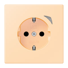 JUNG HOME SCHUKO® розетка Energy, BT LC 1521 SE223