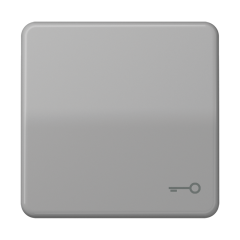 CD590TGR Клавиша с символом ключ; серая