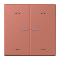 JUNG HOME кнопка, 2 группы с символами «стрелки», BT LC 17102 P236