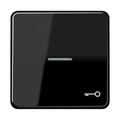 CD590KO5TSW Клавиша с окошком и символом ключ для выключателей с подсветкой; черная