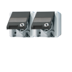 8220NAWSL Двойная горизонтальная SCHUKO-розетка 16A 250V  с полем для надписи IP44