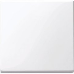 MTN432125; Merten SM Актив Клавиша одинарная белая Schneider Electric