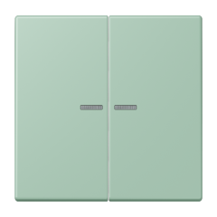 JUNG HOME кнопка, 2 группы, BT LC 17102217