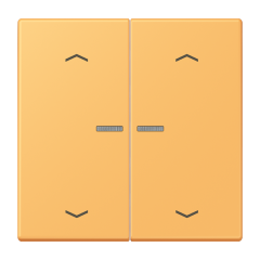 JUNG HOME кнопка, 2 группы с символами «стрелки», BT LC 17102 P254