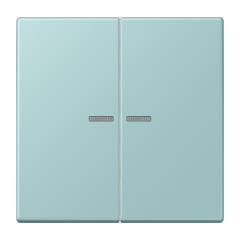 JUNG HOME кнопка, 2 группы, BT LC 17102214