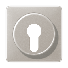 CD528PT Крышка для выключателя с замком; платина