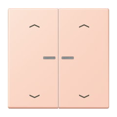 JUNG HOME кнопка, 2 группы с символами «стрелки», BT LC 17102 P234