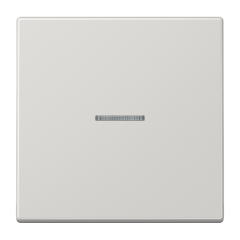 KNX RF кнопка, 1 группа, LS 10911 ST RF LG