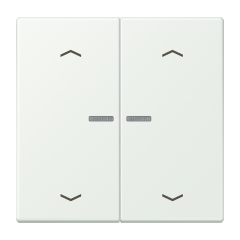 JUNG HOME кнопка, 2 группы с символами «стрелки», BT LC 17102 P210