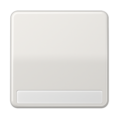 CD590NALG Клавиша для выключателя с полем для надписи; светло-серая