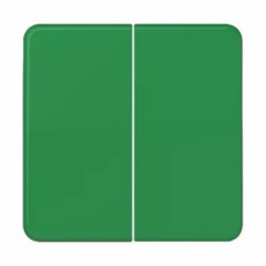 CD595GN Клавиши для сдвоенных выключателей и кнопок; зеленые