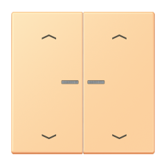 JUNG HOME кнопка, 2 группы с символами «стрелки», BT LC 17102 P258