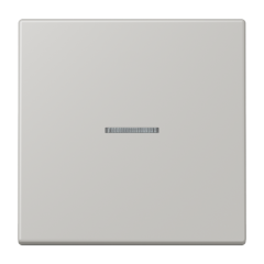 JUNG HOME кнопка, 1 группа, BT LC 17101205