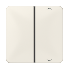 CD401TSAP клавиша с символом для пульта KNX, слоновая кость, для серии CD