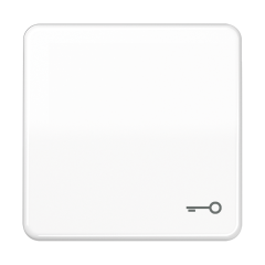 CD590BFTWW Клавиша ударопрочная с символом ключ; белая