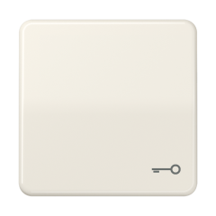 CD590BFT Клавиша ударопрочная с символом ключ; слоновая кость