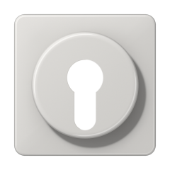 CD528LG Крышка для выключателя с замком; светло-серая