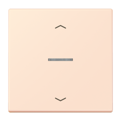 JUNG HOME кнопка, 1 группа с символами «стрелки», BT LC 17101 P226